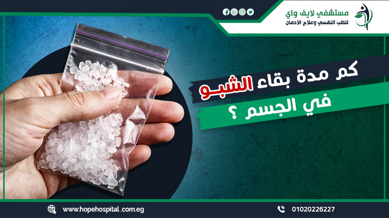 كم مدة بقاء الشبو في الجسم ؟